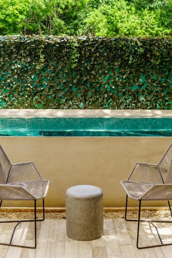 204 Hidden Gem Apartment In The Heart Of Tulum W/ Huge Private Terrace And Pool For 6 Pax