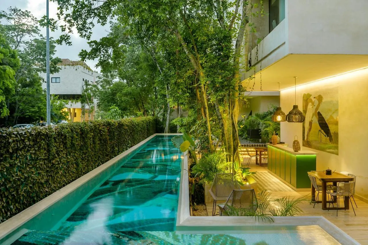 204 Hidden Gem Apartment In The Heart Of Tulum W/ Huge Private Terrace And Pool For 6 Pax Mexico
