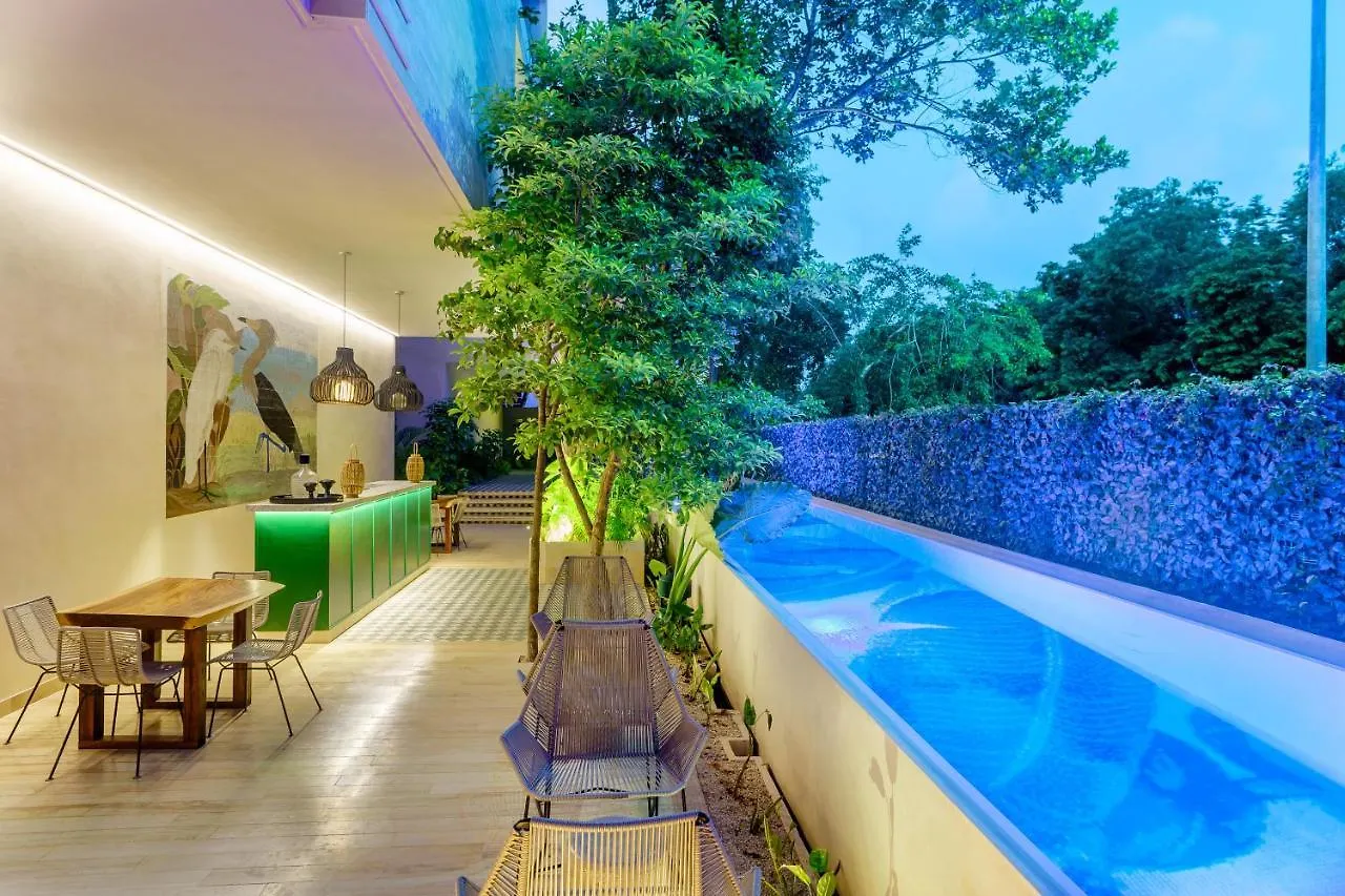 204 Hidden Gem Apartment In The Heart Of Tulum W/ Huge Private Terrace And Pool For 6 Pax 0*,